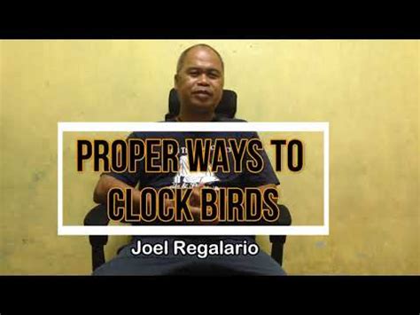 yonapro puf|Proper Ways to Clock Birds .